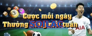 SOILAC